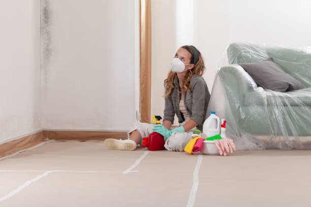 Reliable Mold Remediation contractor in Lowell, MI by WQB Mold Removal